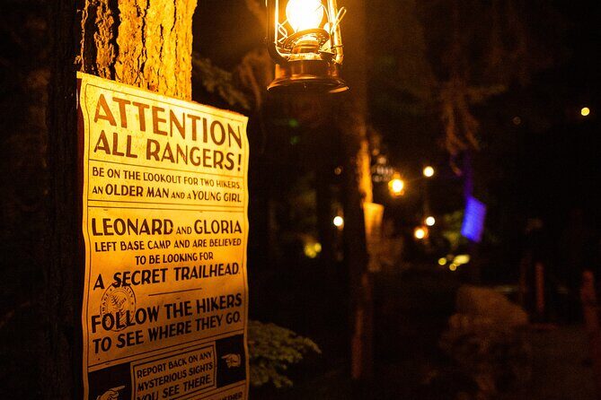 Vallea Lumina Multimedia Evening Experience - The Itinerary in Detail