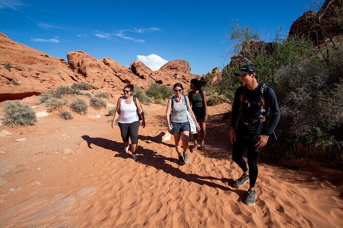 Valley of Fire Guided Hiking Tour and Mojave Desert Adventure - The Itinerary in Detail
