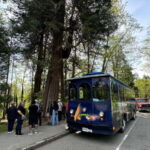 Vancouver: 24 or 48-Hour Hop-On Hop-Off Trolley Tour Pass - What You Can Expect from the Experience