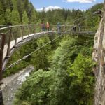 Vancouver and Capilano Park Private Tour - Who Would Benefit Most from This Tour?