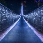 Vancouver: Attractions by Twilight Guided Tour with Dinner - What Makes This Tour Stand Out?