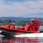 Vancouver, BC: Whale Watching Tour Small Zodiac with Guide - The Experience: What You Can Expect