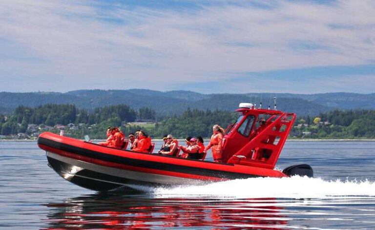 Vancouver, BC: Whale Watching Tour Small Zodiac with Guide - The Experience: What You Can Expect