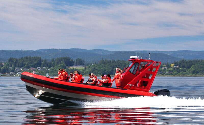 Vancouver, BC: Whale Watching Tour Small Zodiac with Guide - The Experience: What You Can Expect