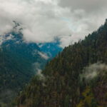 Vancouver: Beer Tasting Helicopter Tour with Hotel Pickup - The Experience in Detail