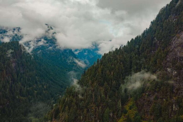 Vancouver: Beer Tasting Helicopter Tour with Hotel Pickup - The Experience in Detail