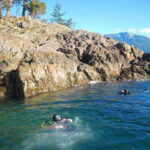 Vancouver: Boat Dive for Certified Diver, Tank & Weight Incl - Who Will Love This Tour?