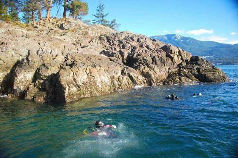 Vancouver: Boat Dive for Certified Diver, Tank & Weight Incl - Who Will Love This Tour?