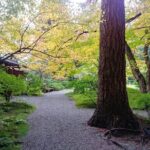Vancouver Botanical Gardens & Museum Private Explorer - An In-Depth Look at the Tour Experience
