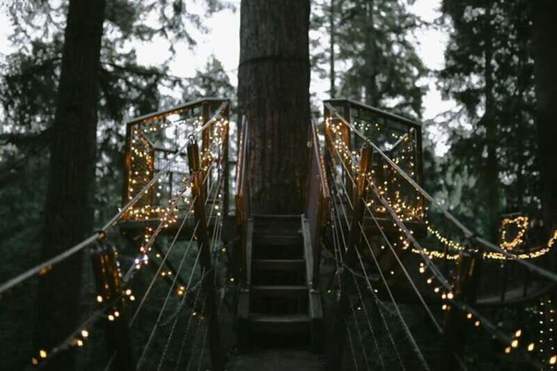 Vancouver Capilano Canyon light&peak of Christmas in Grouse - Who Should Consider This Tour?