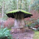 Vancouver: Capilano River Hatchery Love the Land Tour - Is It Worth It? Analyzing the Value