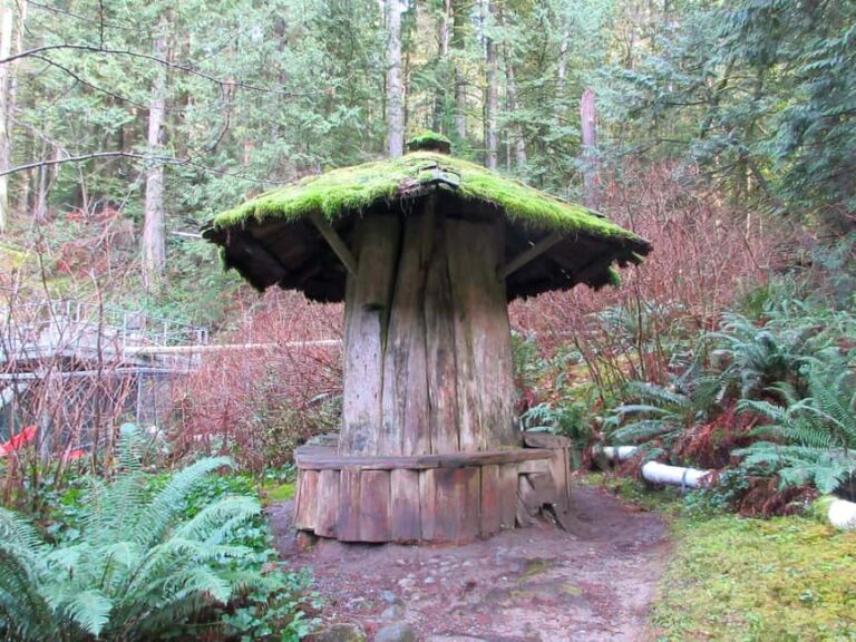 Vancouver: Capilano River Hatchery Love the Land Tour - Is It Worth It? Analyzing the Value