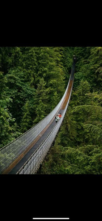 Vancouver: Capilano Suspension Bridge & Grouse Mountain - The Iconic Capilano Suspension Bridge and Treetops Adventure