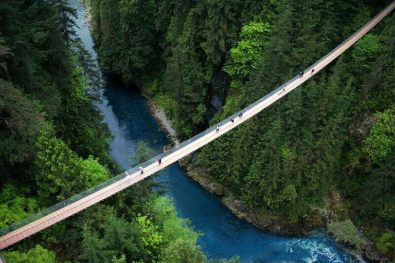 Vancouver: Capilano Suspension Bridge Park Ticket - Is It Worth the Price?