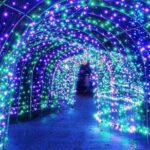 Vancouver Christmas Light Tour private - Who Should Consider This Tour?