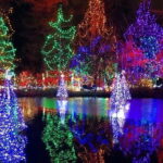 Vancouver Christmas Light Tour private - Who Would Love This Tour?