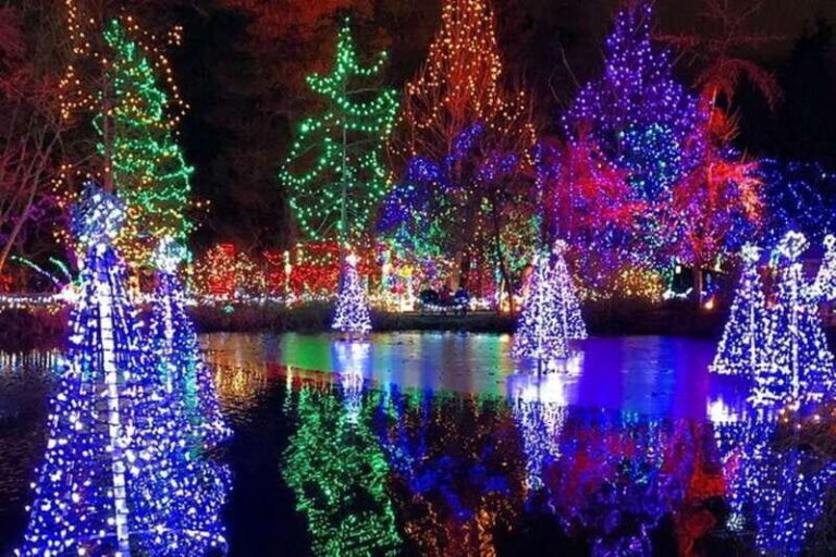 Vancouver Christmas Light Tour private - Who Would Love This Tour?