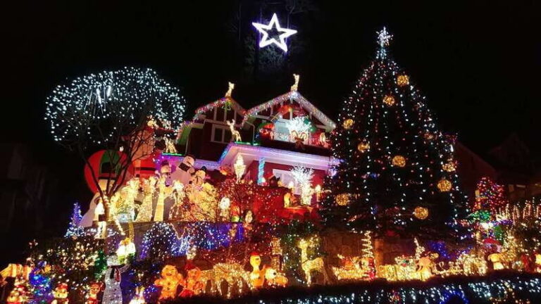 Vancouver: Christmas Tour with Light Festival Entrance - First Stop: Van Dusen Botanical Garden Festival of Lights