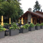 Vancouver: City and Mountain Adventure with Grouse Mountain - Is This Tour Worth It?