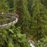 Vancouver City Sightseeing Tour: Capilano Suspension Bridge & Vancouver Lookout - Who Will Love This Tour?