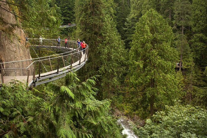 Vancouver City Sightseeing Tour: Capilano Suspension Bridge & Vancouver Lookout - Who Will Love This Tour?