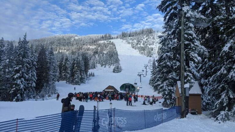 Vancouver city tour & Adventure at Cypress Mountain Private - Breaking Down the Experience: A Deep Dive into What You Can Expect