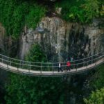 Vancouver: City Tour with Capilano Bridge and Stanley Park - Granville Island and the Market Scene