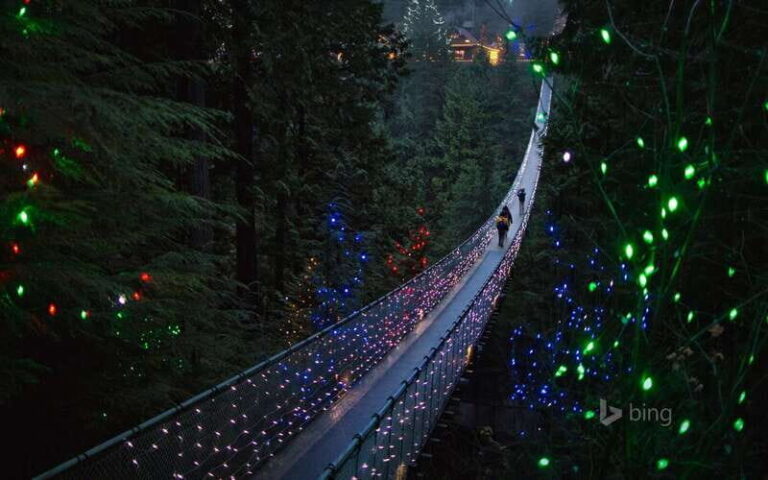 Vancouver: City Tour with Capilano Suspension Bridge - Final Thoughts