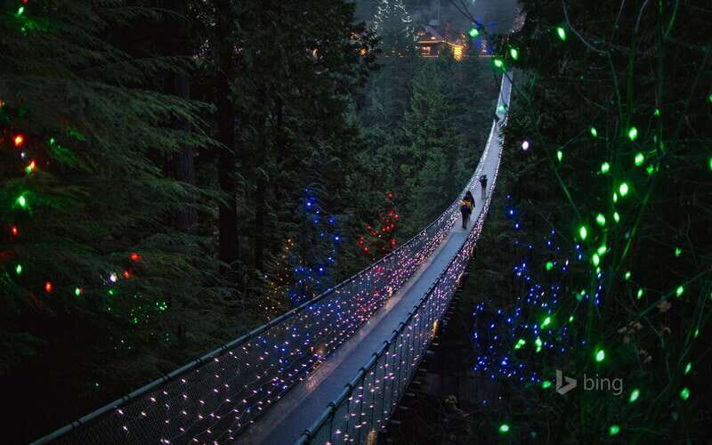 Vancouver: City Tour with Capilano Suspension Bridge - Final Thoughts