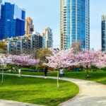 Vancouver City Tour with Cherry Blossom Festival Private - What the Tour Includes & Why That Matters