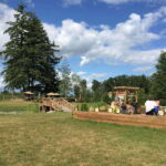 Vancouver: Fraser Valley Wine Tasting Tour - An In-Depth Look at the Fraser Valley Wine Tasting Tour