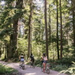 Vancouver: Guided Bike Tour - A Detailed Look at the Tour Itinerary