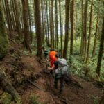 Vancouver: Guided Hiking Highlights at Grouse & Lynn Canyon - Stanley Park Overview