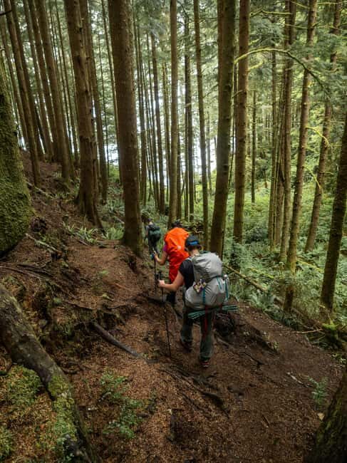 Vancouver: Guided Hiking Highlights at Grouse & Lynn Canyon - Stanley Park Overview