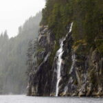 Vancouver Island: Full-Day Grizzly Bear Tour at Toba Inlet - The Highlights: Scenic Views and Cultural Stories