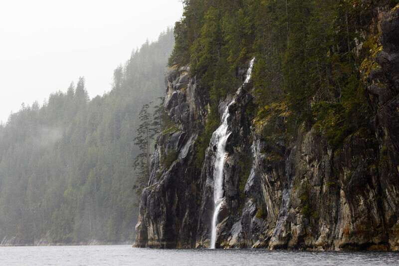 Vancouver Island: Full-Day Grizzly Bear Tour at Toba Inlet - The Highlights: Scenic Views and Cultural Stories