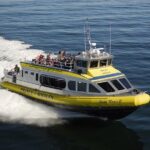 Vancouver Island Half-Day Whale Watching Tour - Telegraph Cove - The Experience in Practice: What Travelers Say