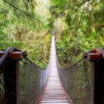 Vancouver: Lynn Valley Suspension Bridge & Nature Walk Tour - Is this Tour Worth the Price?