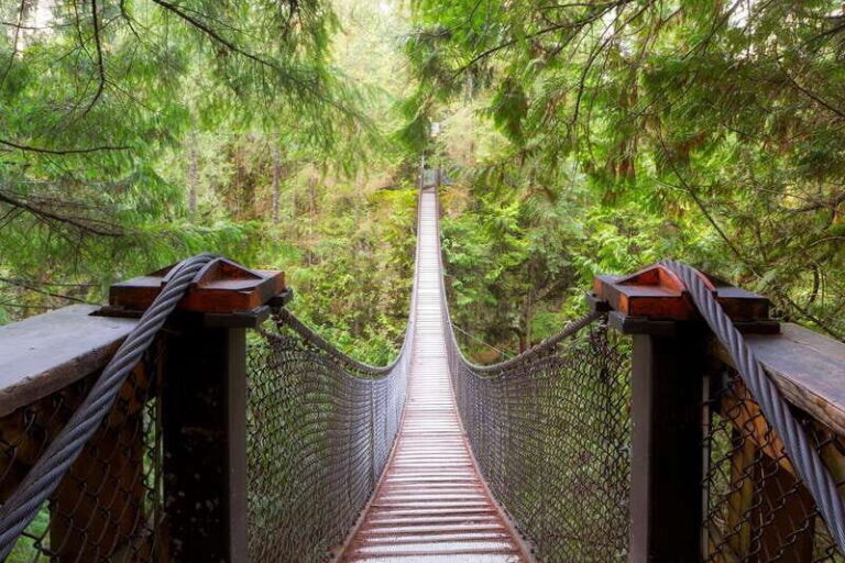Vancouver: Lynn Valley Suspension Bridge & Nature Walk Tour - Is this Tour Worth the Price?