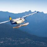 Vancouver Panorama Scenic Seaplane Tour + Suspension Bridge Tour - What the Tour Includes and How It Works