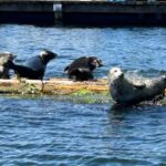 Vancouver: Private Granite Falls Boat Tour - Real Experiences from Travelers