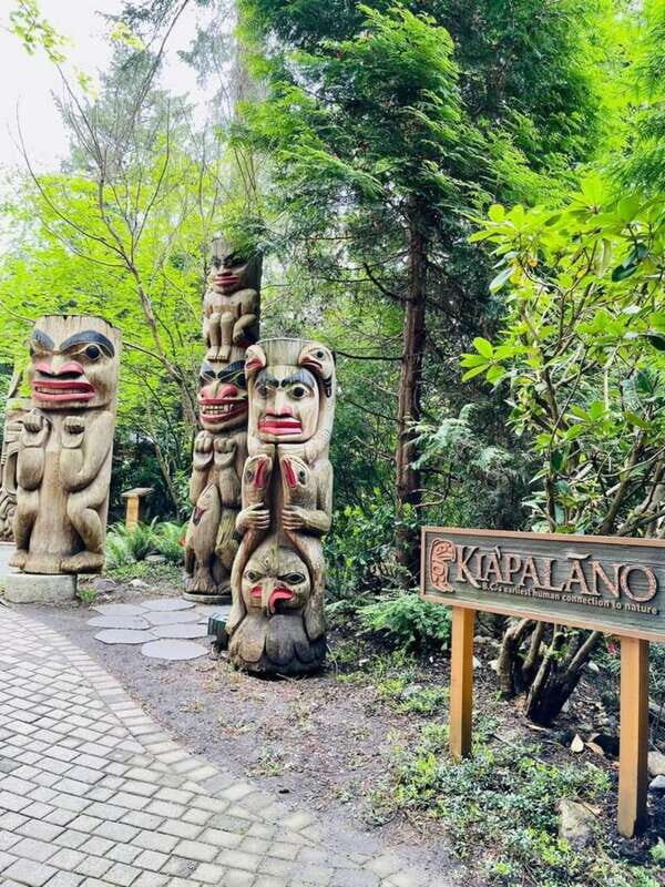 Vancouver: Private Tour City Sights, FlyOver & Capilano - The Real Benefits