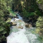 Vancouver Rainforest Hike with Waterfalls, Suspension Bridge, Old Growth Forest - FAQ