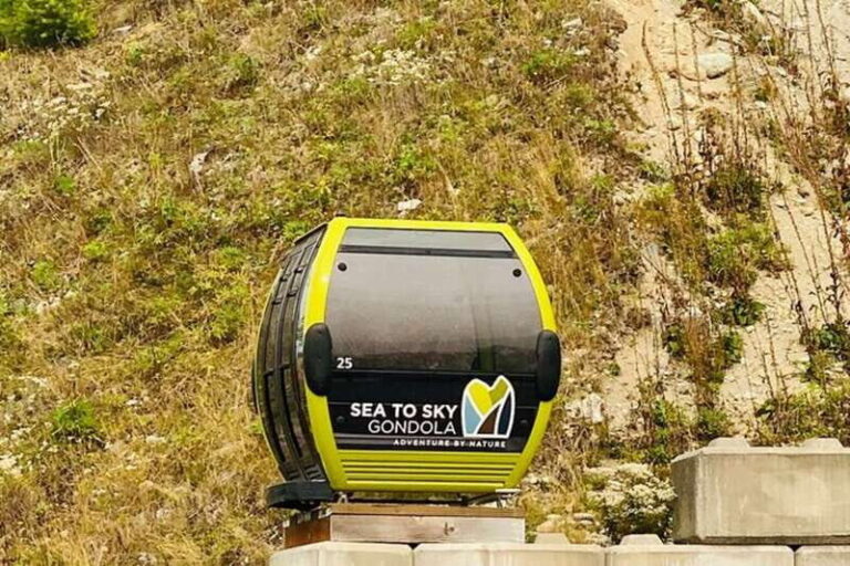 Vancouver, Squamish, Cypress Mountain Day Tour - What’s Included and What’s Not