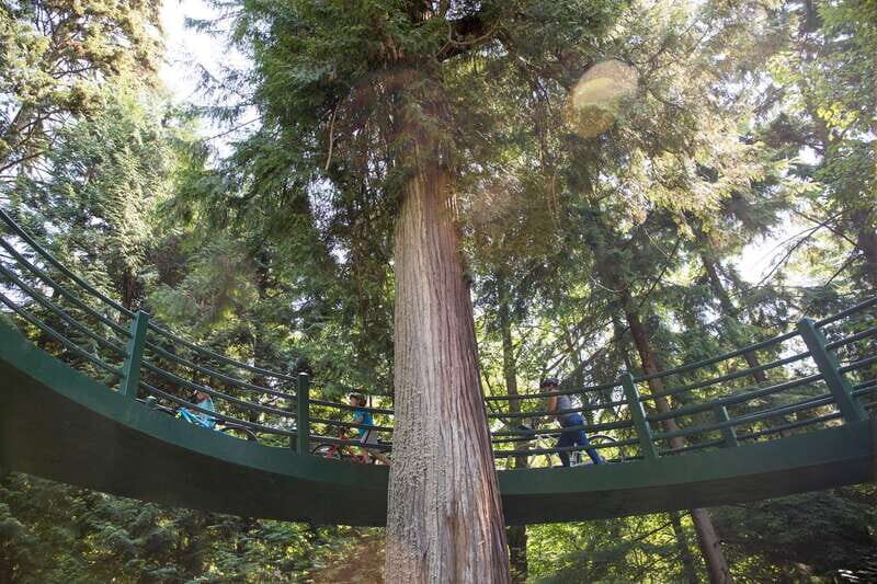 Vancouver: Stanley Park Bicycle Tour - The Downsides to Consider