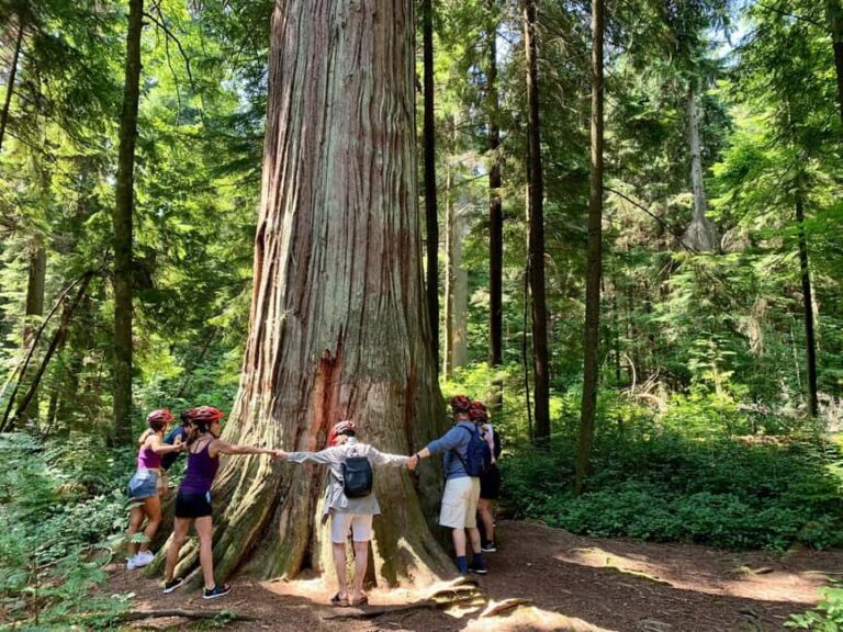 Vancouver: Stanley Park Bike Tour | E-Bike Upgrade Avail. - Who Is This Tour Best For?