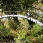 Vancouver Tour: Stanley Park, Granville Island & Capilano Bridge - The Overall Experience: What’s Truly Worth It?