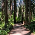 Vancouver Waterfront Guided Bike / Ebike Tour - FAQs