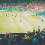 Vancouver Whitecaps Major League Soccer Game Ticket at BC Place - Who Should Consider This?