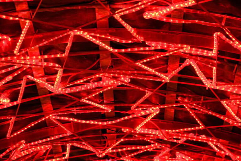 Vancouvers Festive Shoreline: A Christmas Walking Tour - The Practical Side: What You Need to Know